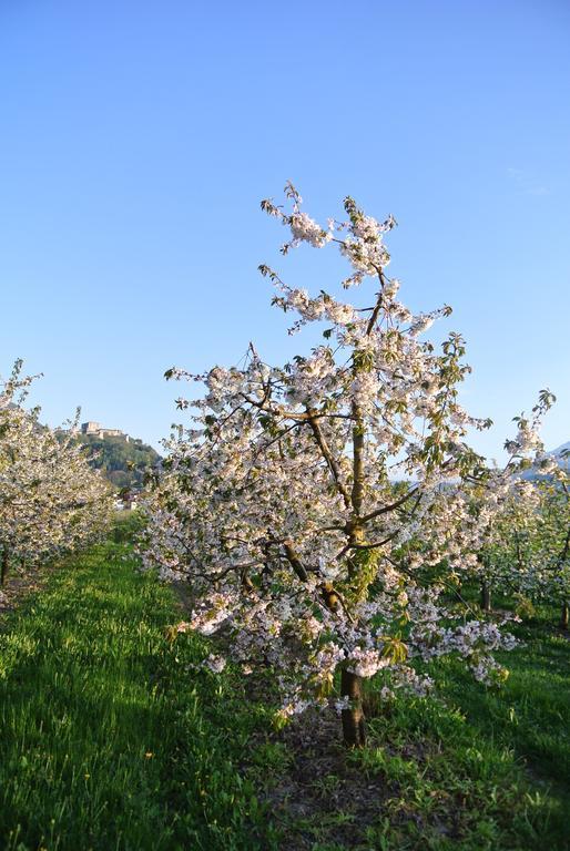 Agriturismo Bortolotti Pergine Valsugana Bagian luar foto
