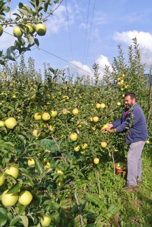 Agriturismo Bortolotti Pergine Valsugana Bagian luar foto